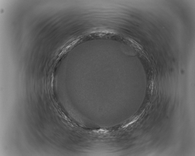 X0000085811014200703231330