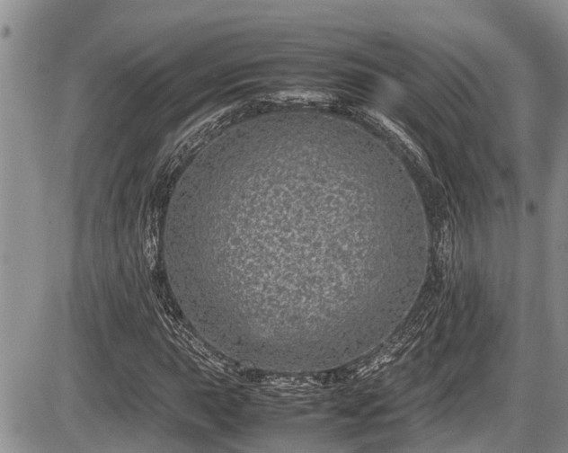 X0000085811015200703231330