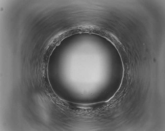 X0000085811016200703231330