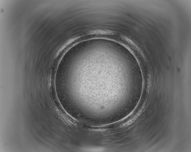 X0000085811017200703231330