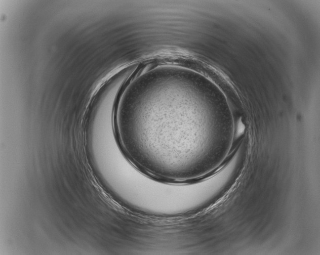 X0000085811018200703231330