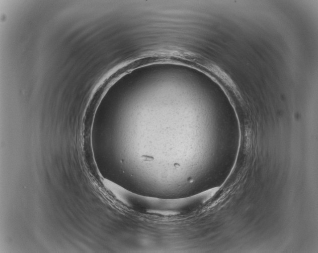 X0000085811020200703231330