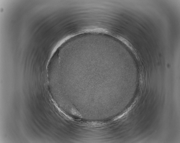 X0000085811022200703231330