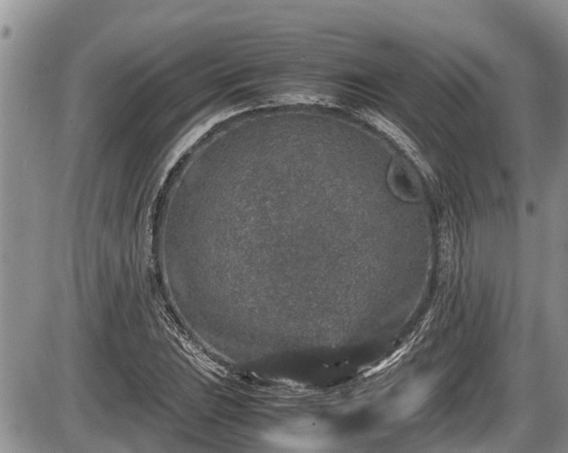 X0000085811023200703231330