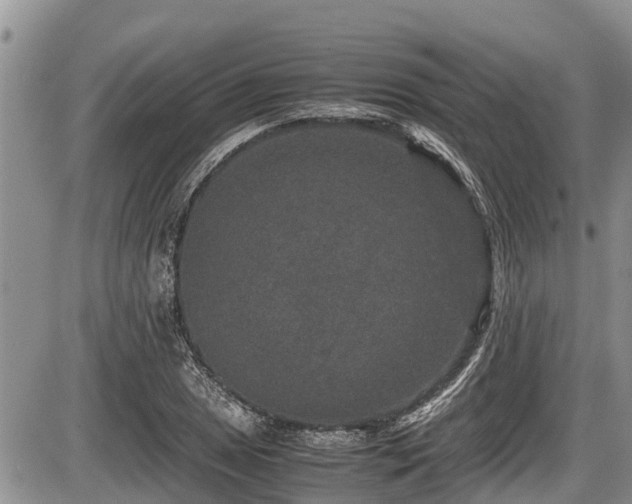 X0000085811025200703231330