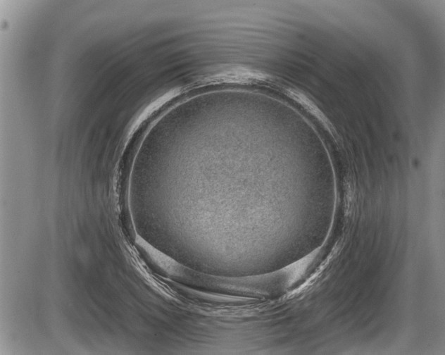 X0000085811026200703231330