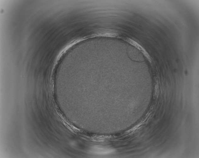 X0000085811027200703231330