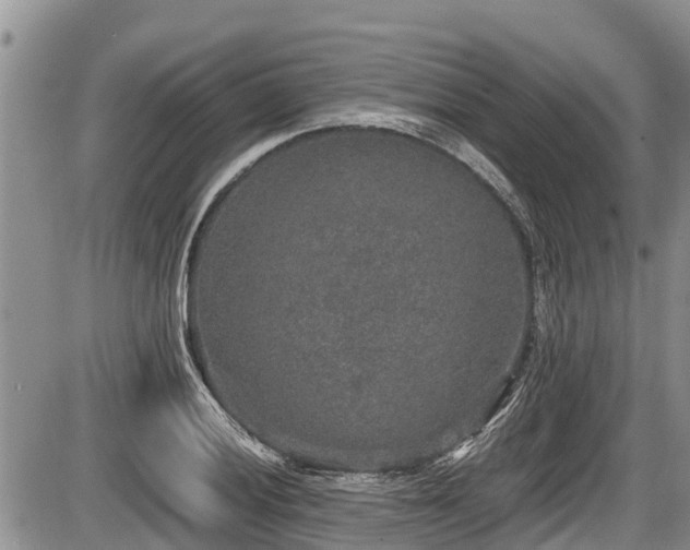 X0000085811028200703231330