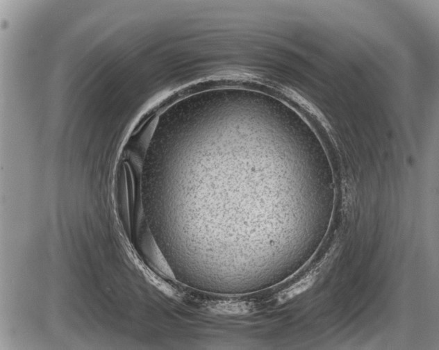 X0000085811029200703231330