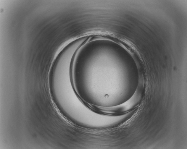 X0000085811030200703231330