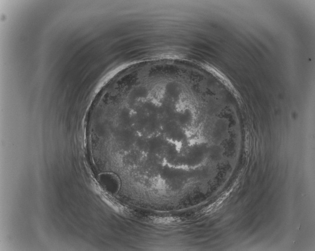 X0000085811031200703231330