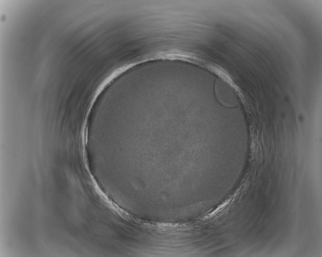 X0000085811032200703231330