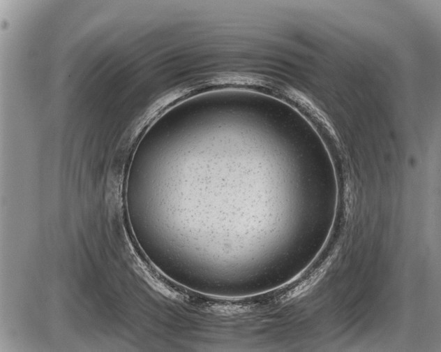 X0000085811033200703231330