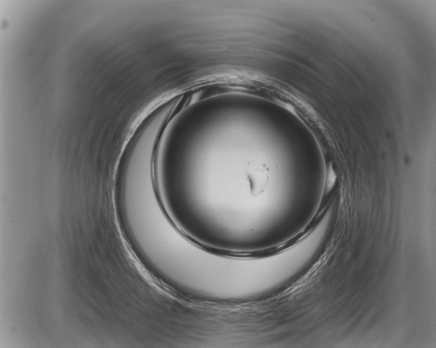 X0000085811034200703231330