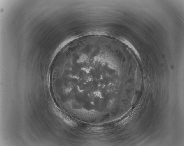 X0000085811035200703231330