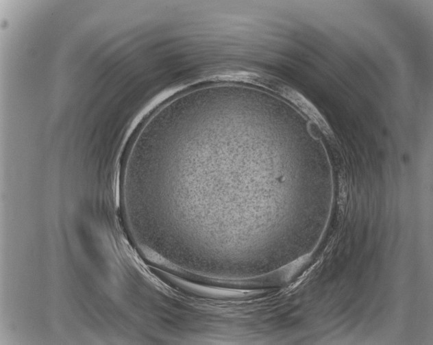 X0000085811036200703231330