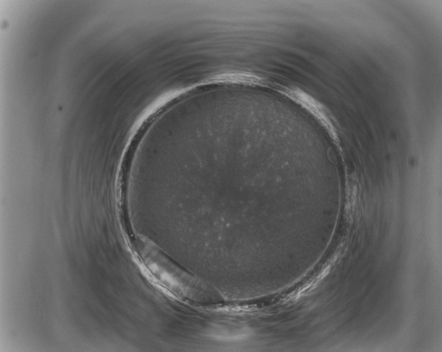 X0000085811037200703231330