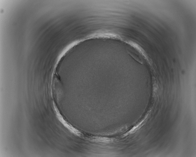 X0000085811038200703231330