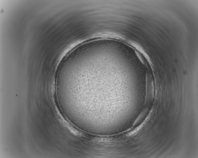 X0000085811040200703231330