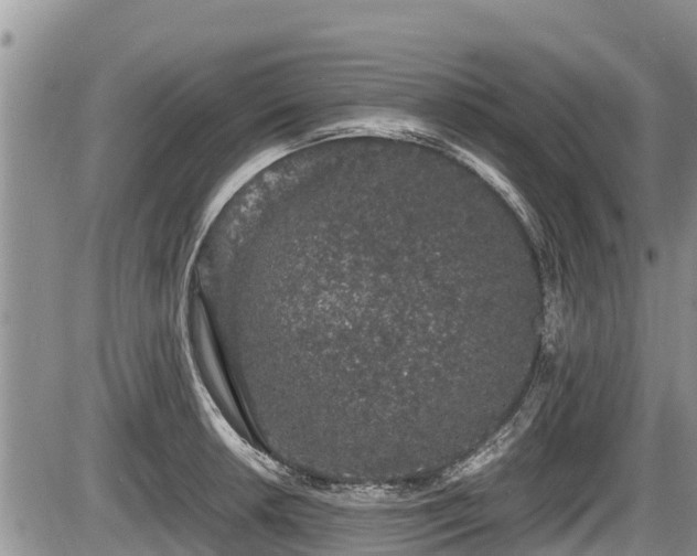 X0000085811042200703231330