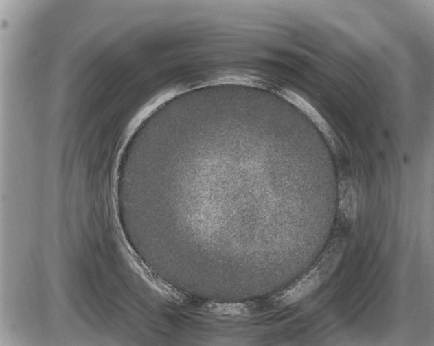 X0000085811043200703231330