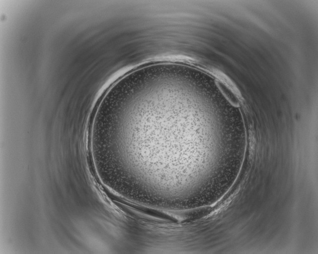 X0000085811044200703231330