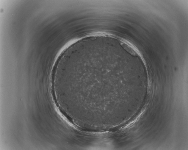 X0000085811045200703231330