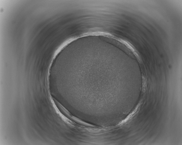 X0000085811046200703231330