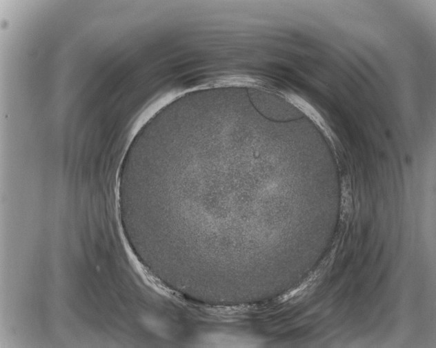 X0000085811047200703231330