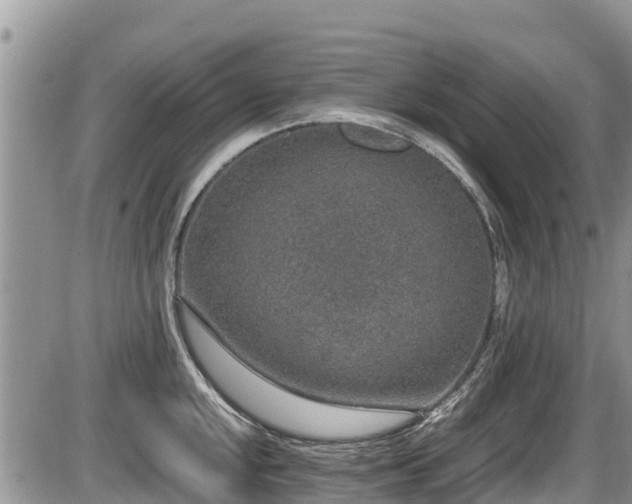 X0000085811048200703231331