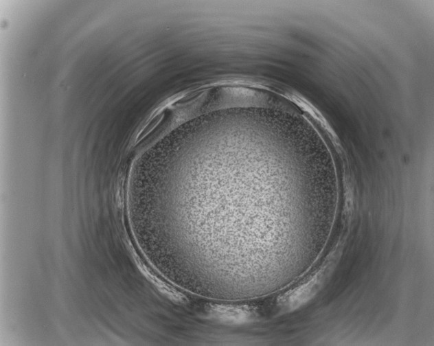 X0000085811049200703231331