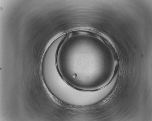 X0000085811050200703231331