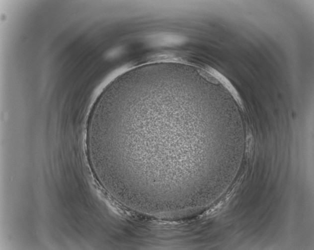 X0000085811051200703231331