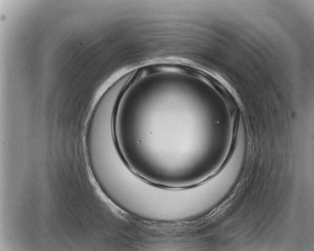 X0000085811054200703231331