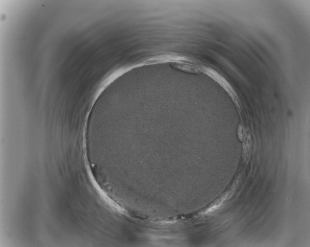 X0000085811055200703231331