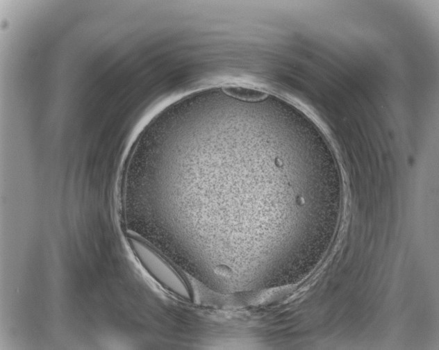 X0000085811056200703231331