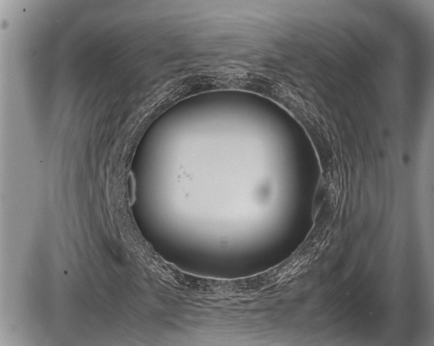 X0000085811057200703231330