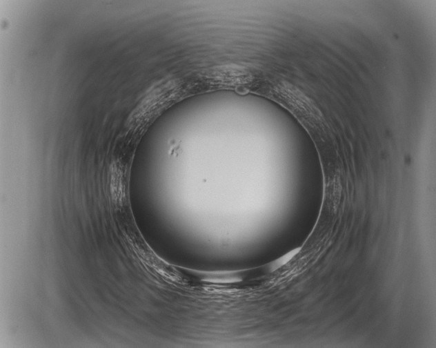 X0000085811058200703231330