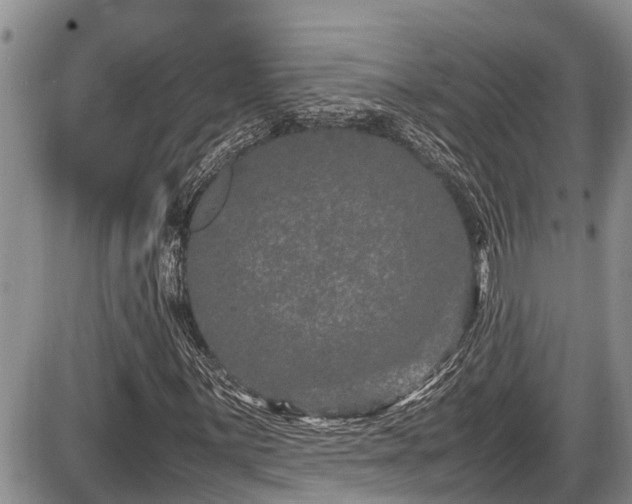 X0000085811059200703231330