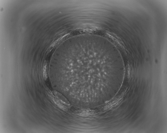 X0000085811060200703231330