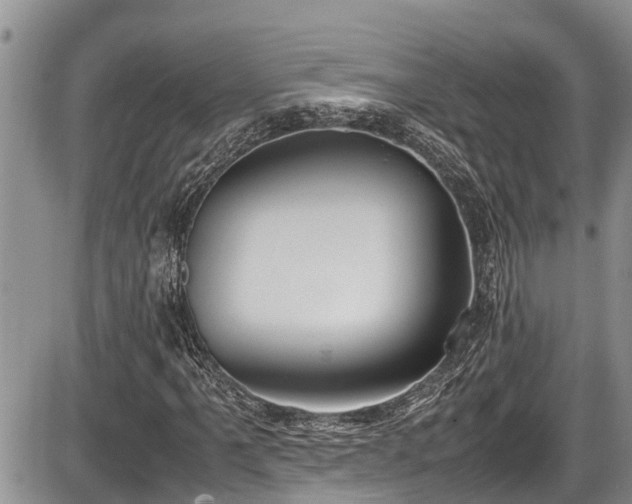 X0000085811061200703231330