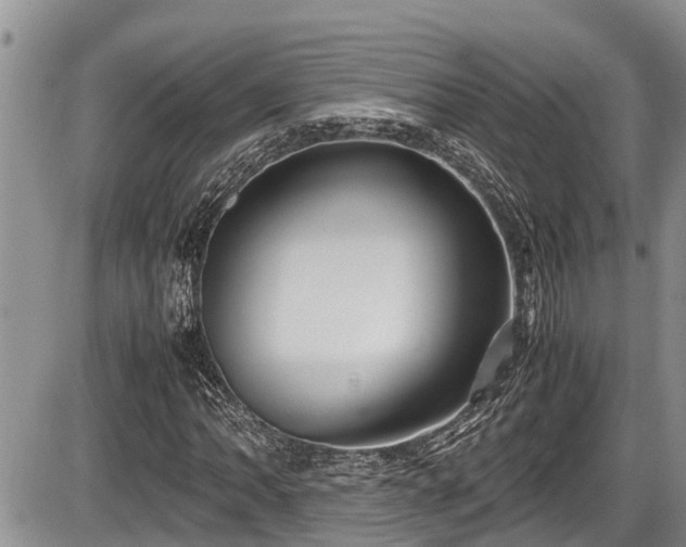 X0000085811062200703231330