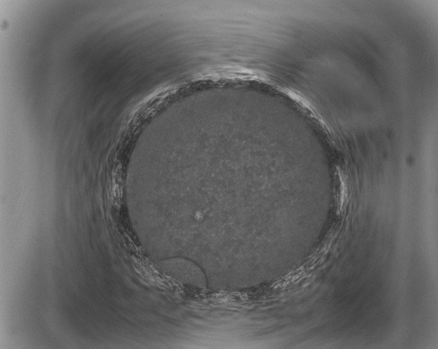 X0000085811063200703231330