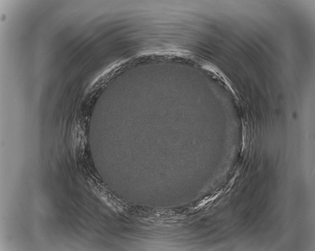 X0000085811064200703231330