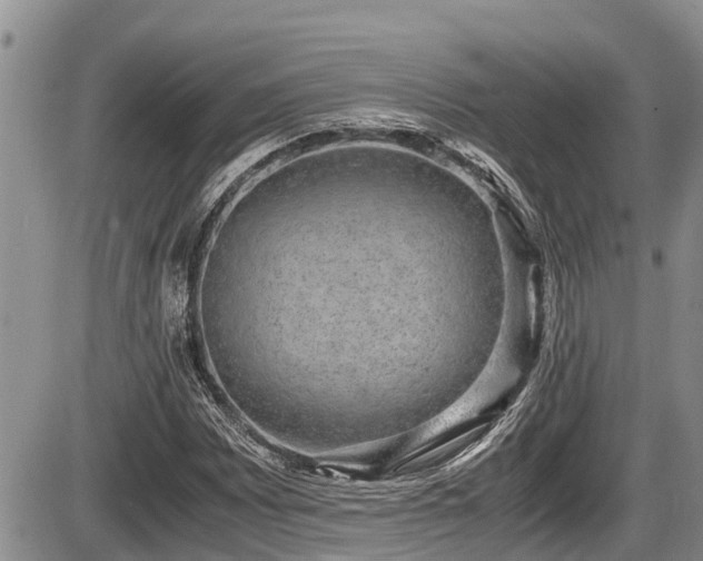 X0000085811065200703231330