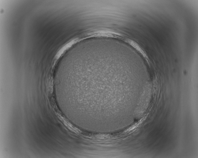 X0000085811067200703231330