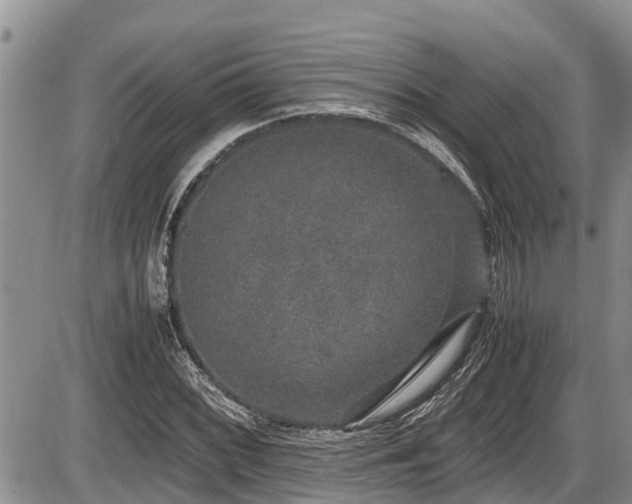 X0000085811068200703231330