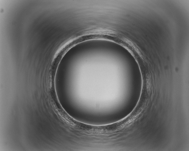 X0000085811069200703231330