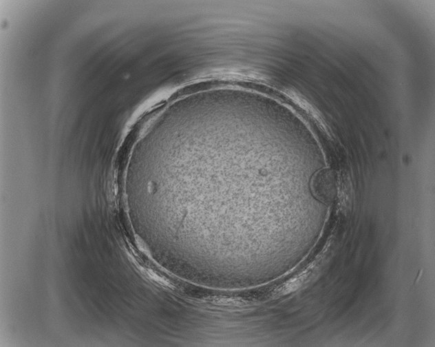 X0000085811070200703231330