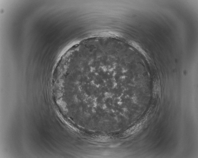 X0000085811071200703231330